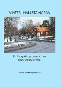 bokomslag Vinter i Hallsta Norra : en fotografisk promenad i en snötäckt bruksmiljö