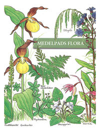 bokomslag Medelpads flora