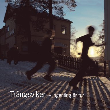 bokomslag Trångsviken : ingenting är tur