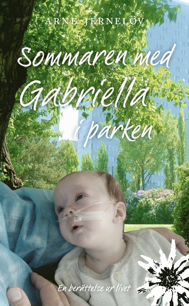 bokomslag Sommaren med Gabriella i parken