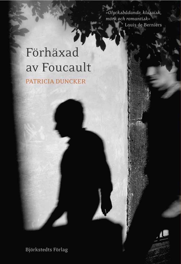 Förhäxad av Foucault 1