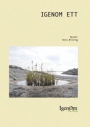 Vera Billing - Igenom ett : texter, Häftad