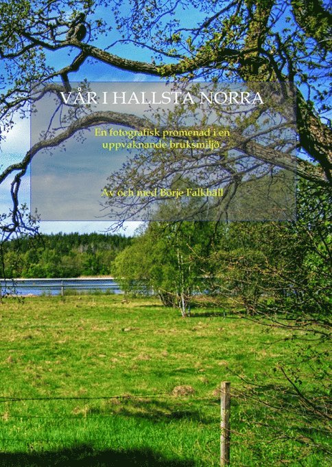 Vår i Hallsta Norra : en fotografiskpromenad i en uppvaknande bruksmiljö