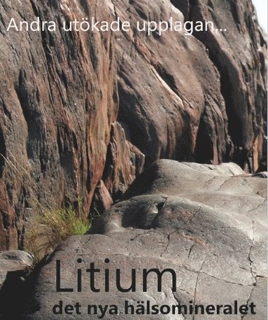 bokomslag Litium det nya hälsomineralet