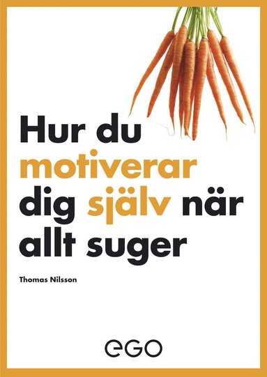 bokomslag Hur du motiverar dig själv när allt suger