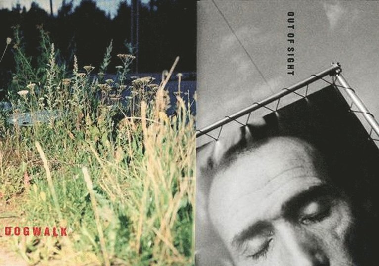 Dogwalk/Out of sight