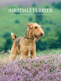 bokomslag Airedaleterrier : en hänförande resa tillsammans med hundar och deras ägare