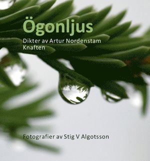 bokomslag Ögonljus