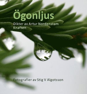 Stig V. Algotsson - Ögonljus, Häftad