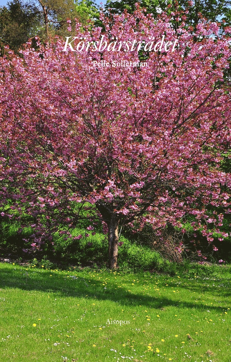 Pelle Sollerman - Körsbärsträdet, Storpocket