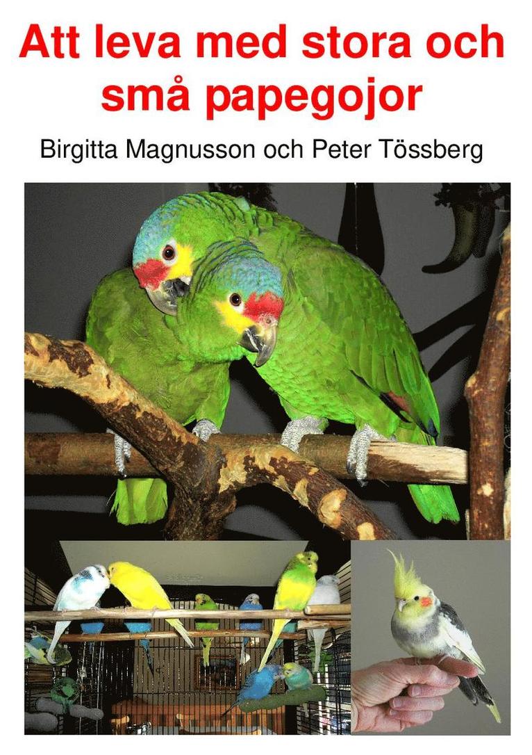 Peter Tössberg, Birgitta Magnusson - Att leva med stora och små papegojor, Inbunden