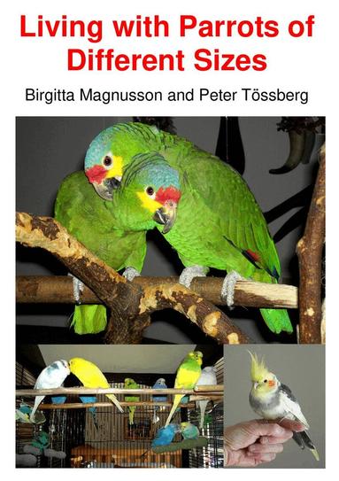 Peter Tössberg, Birgitta Magnusson - Living with Parrots of Different Sizes, Inbunden
