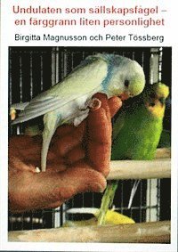 bokomslag Undulaten som sällskapsfågel : en färggrann liten personlighet