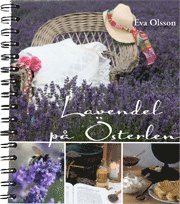 Lavendel på Österlen