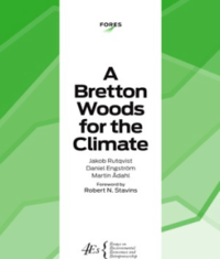 bokomslag A Bretton Woods for the Climate