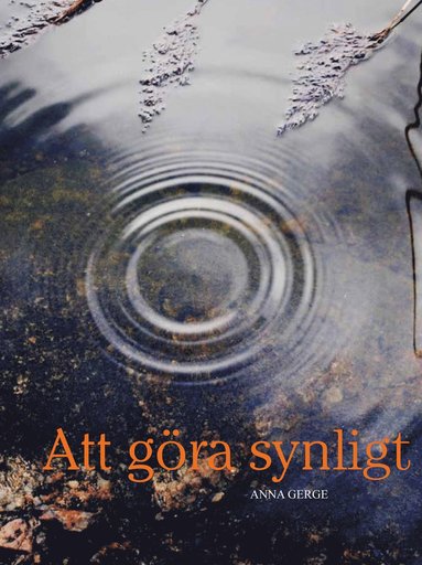 bokomslag Att göra synligt