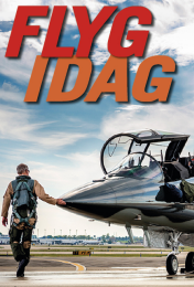 bokomslag Flyg idag : flygets årsbok 2017