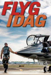 Flyg idag : flygets årsbok 2017 1