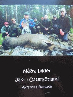 bokomslag Några bilder - Jakt i Östergötland