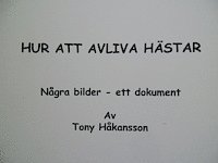 Hur att avliva hästar : några bilder - ett dokument