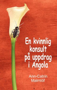 bokomslag En kvinnlig konsult på uppdrag i Angola