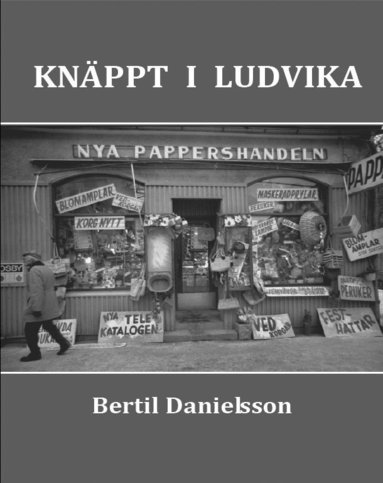 bokomslag Knäppt i Ludvika