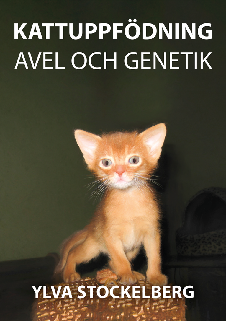 Kattuppfödning avel och genetik 1
