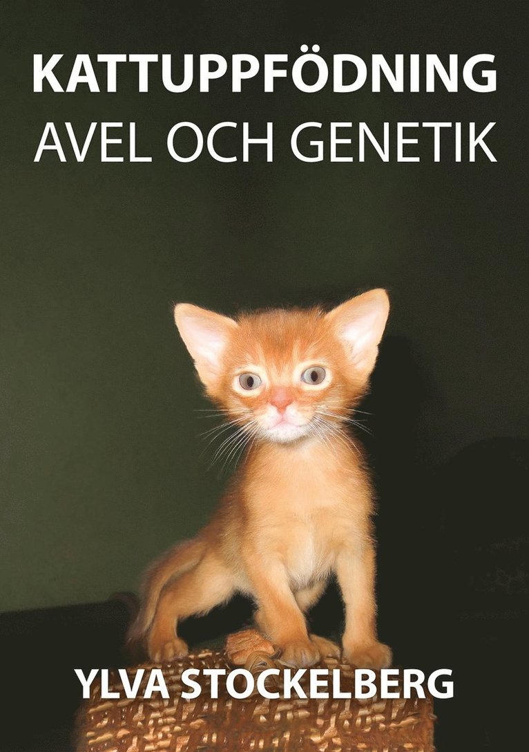 Kattuppfödning avel och genetik
