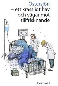 Ulla Li Zweifel - Östersjön : ett krassligt hav och vägar mot tillfrisknande, Häftad