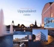 bokomslag Uppsalaåret i bilder = The year in Uppsala in pictures