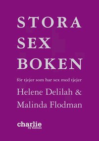 bokomslag Stora sexboken - för tjejer som har sex med tjejer