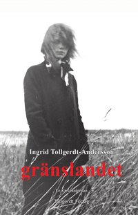 bokomslag Gränslandet : en kärleksroman