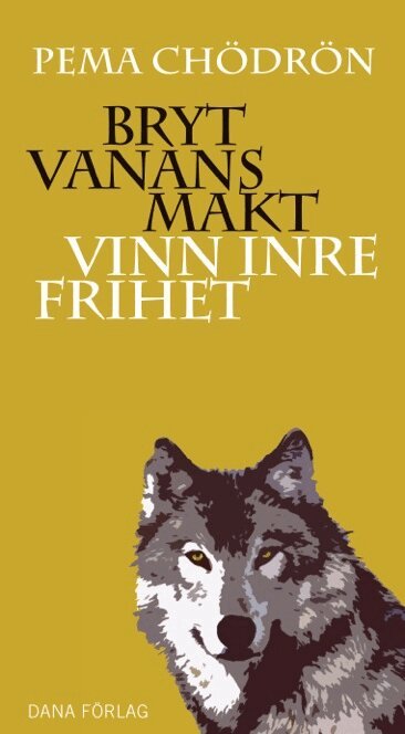 Pema Chödrön - Bryt vanans makt : vinn inre frihet, Häftad