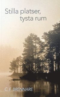 bokomslag Stilla platser, tysta rum