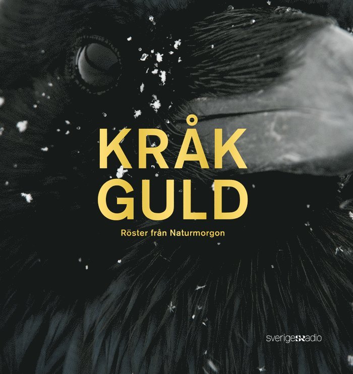 Kråkguld : röster från Naturmorgon 1