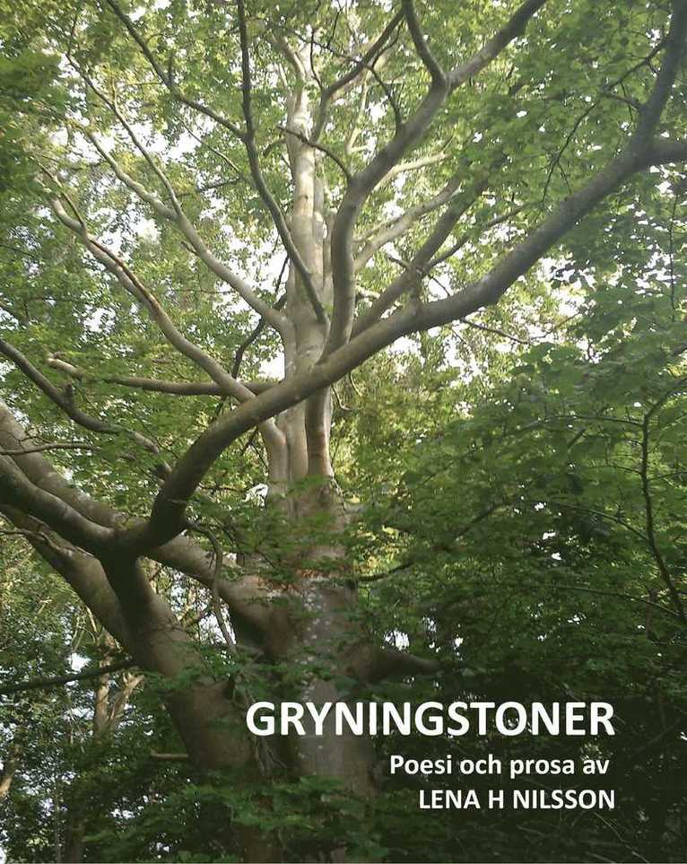 Gryningstoner : poesi och prosa 1