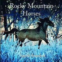 bokomslag Rocky Mountain Horses