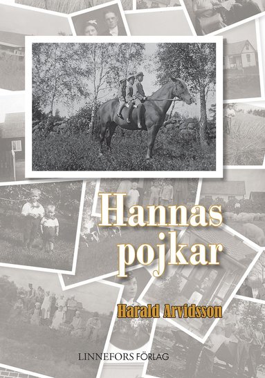 bokomslag Hannas pojkar