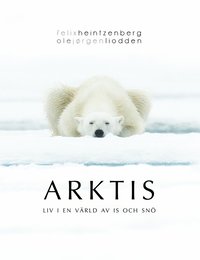 bokomslag Arktis : liv i en värld av is och snö