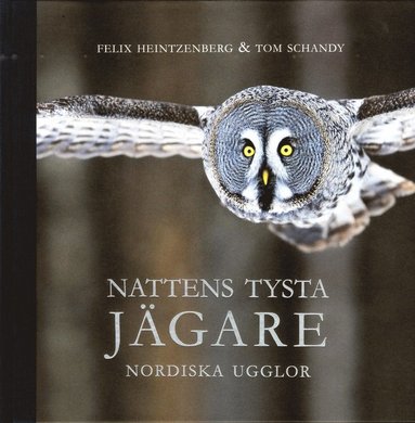 bokomslag Nattens tysta jägare : nordiska ugglor