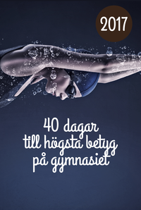 bokomslag 40 dagar till högsta betyg på gymnasiet