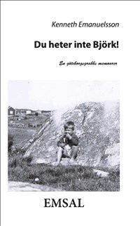 bokomslag Du heter inte Björk! : en göteborgsgrabbs memoarer