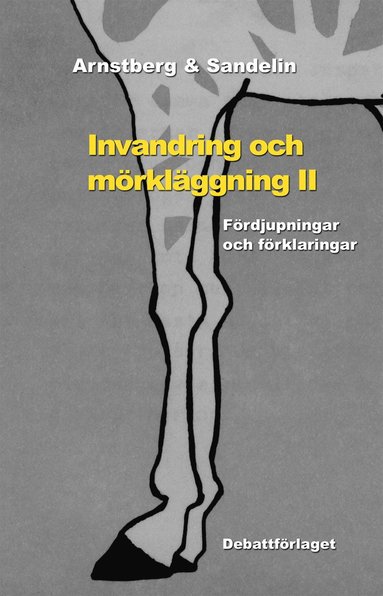 bokomslag Invandring och mörkläggning II Fördjupningar och förklaringar