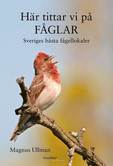 bokomslag Här tittar vi på fåglar : Sveriges bästa fågellokaler