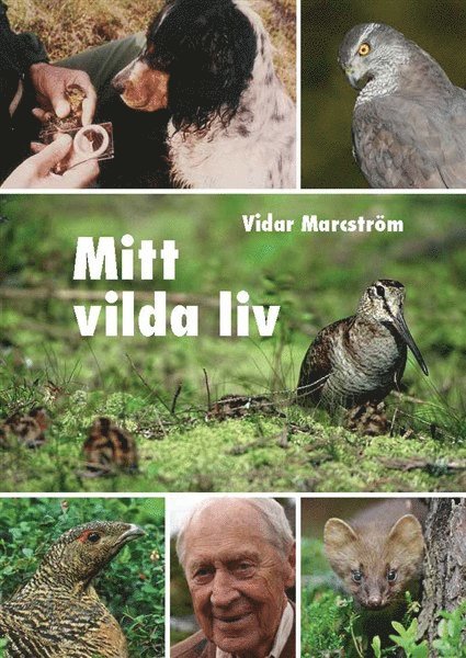 Vidar Marcström - Mitt vilda liv, Inbunden