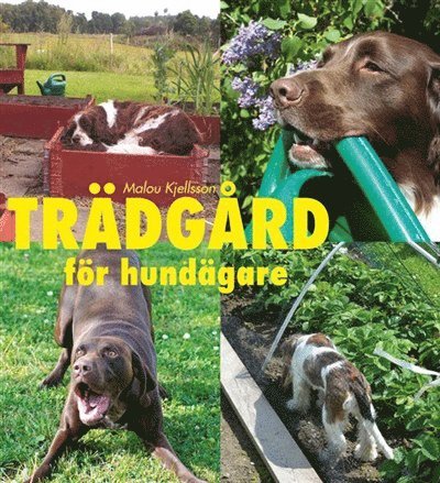 Trädgård för hundägare 1