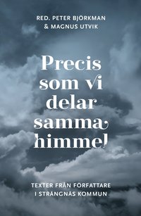 bokomslag Precis som vi delar samma himmel. Texter från författare i Strängnäs kommun