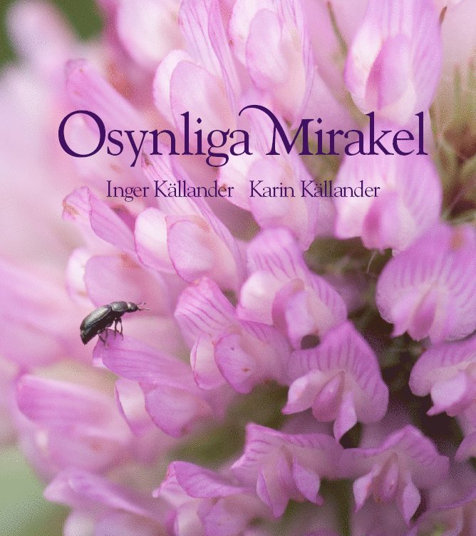 Osynliga mirakel 1