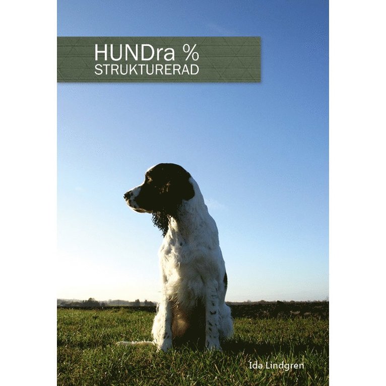 Ida Lindgren - HUNDra % strukturerad, Häftad