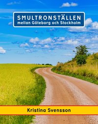 bokomslag Smultronställen mellan Göteborg och Stockholm - avstickare längs väg 40 och E4